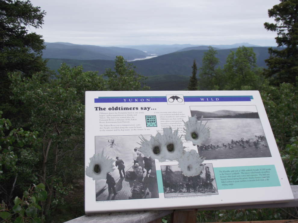 Bullet holes in Yukon interpretive signs