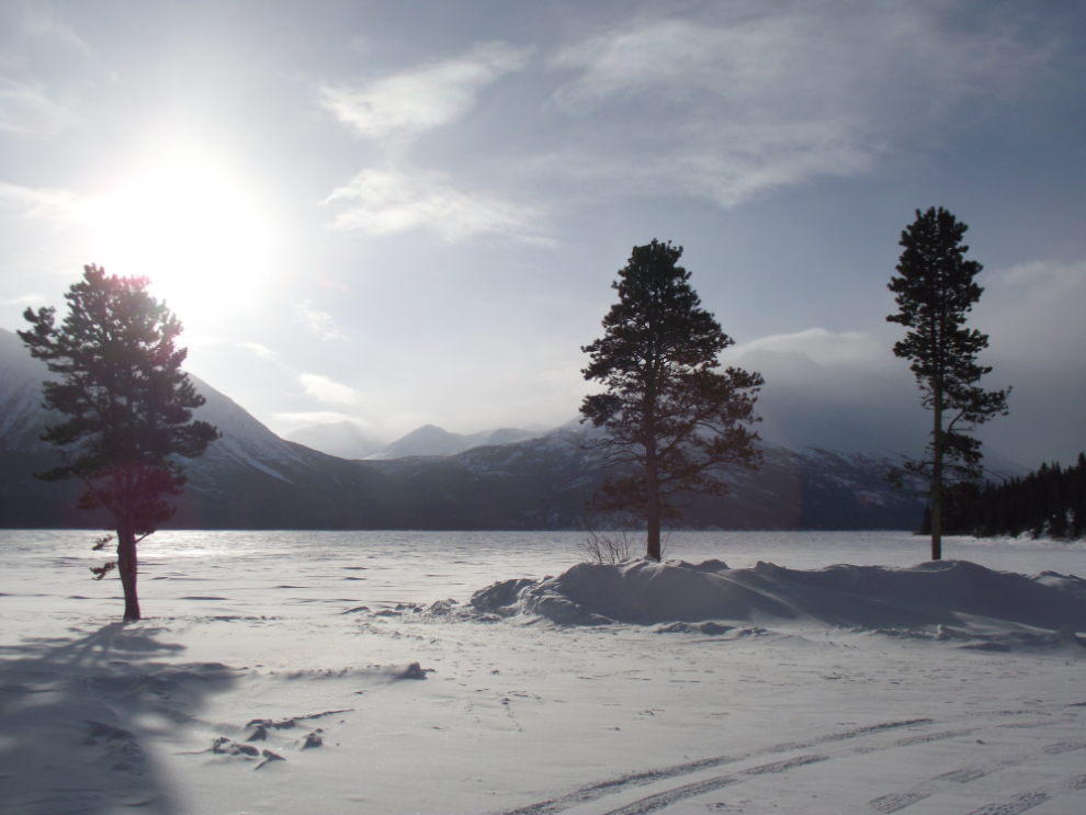 Tutshi Lake in early March