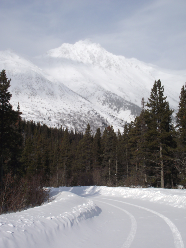 The Tutshi Lake access road in early March