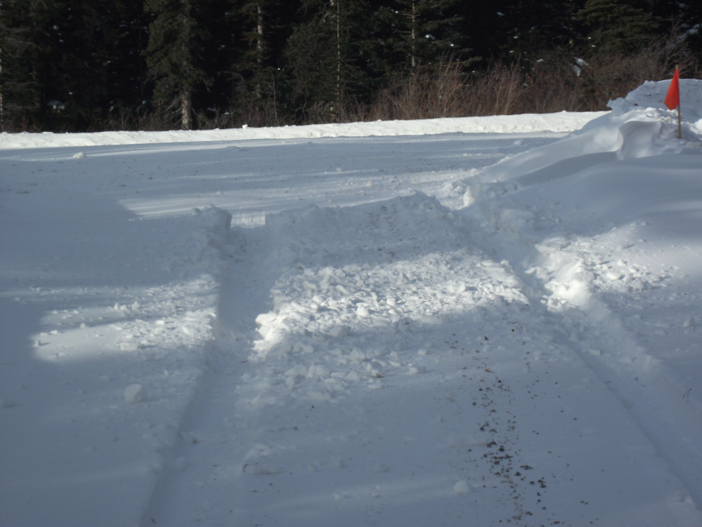 The Tutshi Lake access road in early March