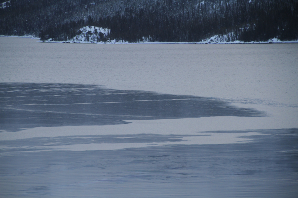 Ice on Tutshi Lake