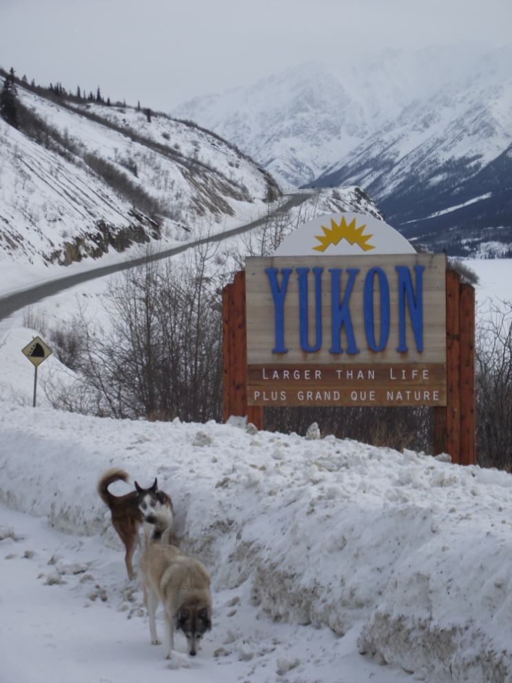 'Welcome to the Yukon' in early March