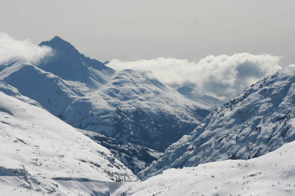 White Pass Summit