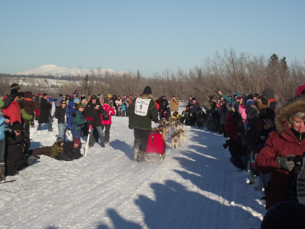 Mike Ellis in the Yukon Quest sled dog race, 2011