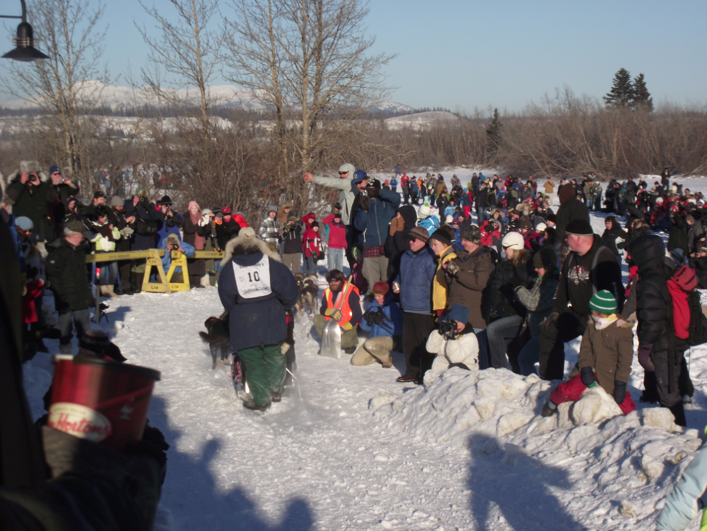 Dan Kaduce in the Yukon Quest sled dog race, 2011