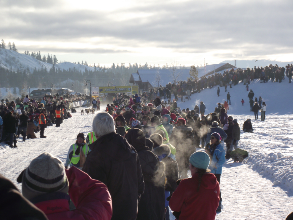 Sebastian Schnuelle in the Yukon Quest sled dog race, 2011