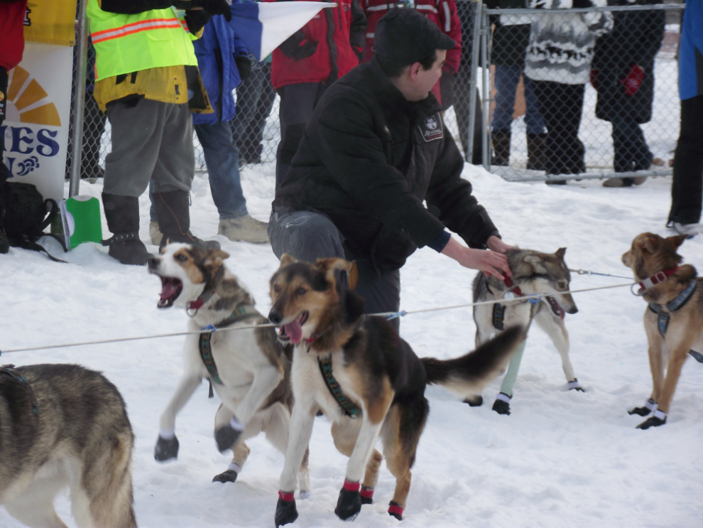 Yukon Quest sled dog race, 2011