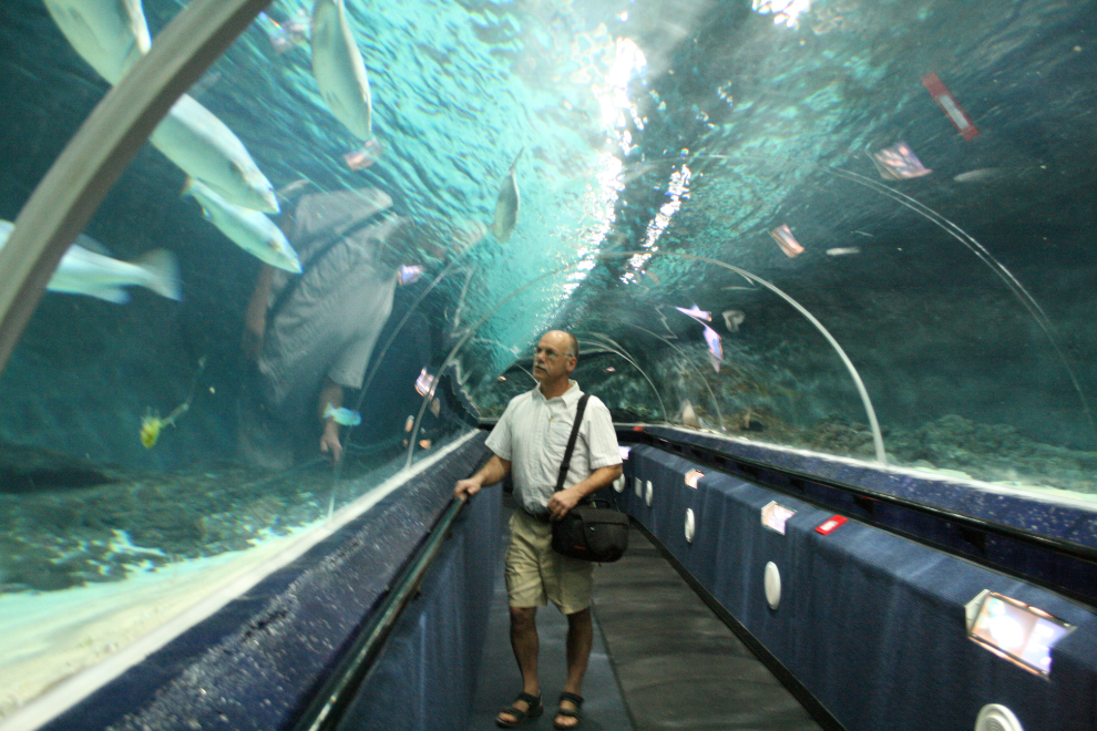 Kelly Tarlton’s Antarctic Encounter & Underwater World