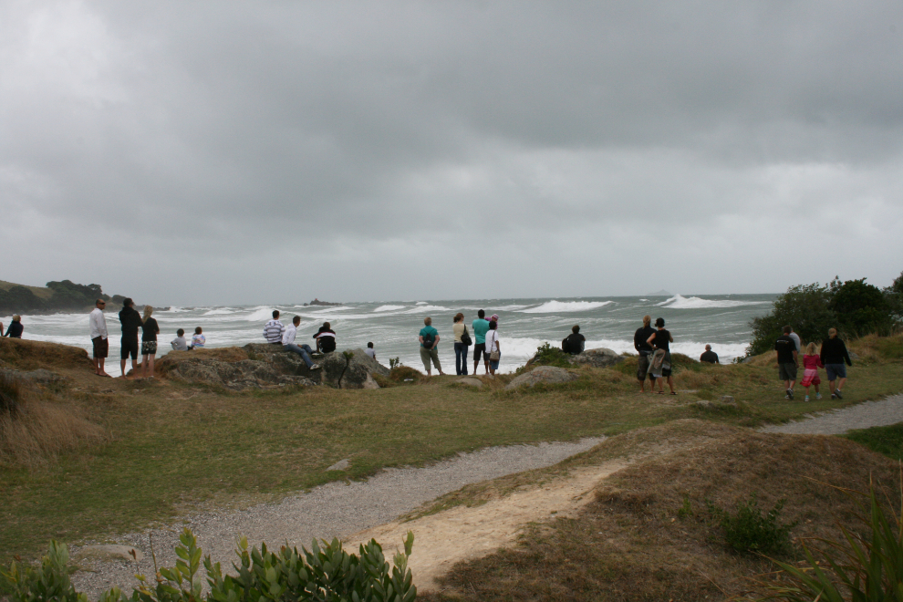 Surfing competition at Mt. Maunganui, New Zealand