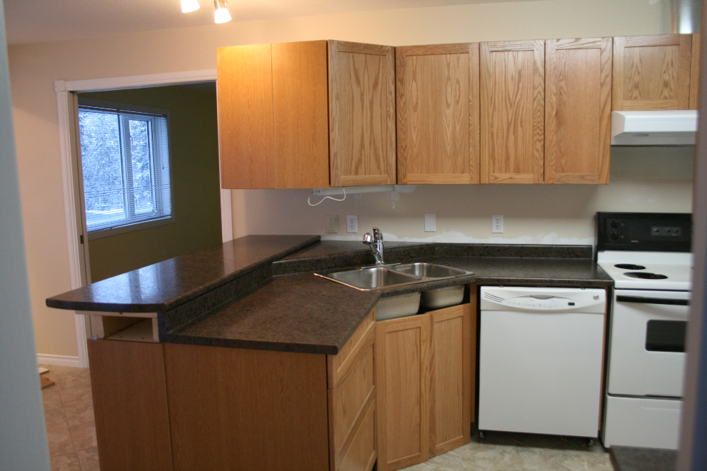 Another kitchen renovation day