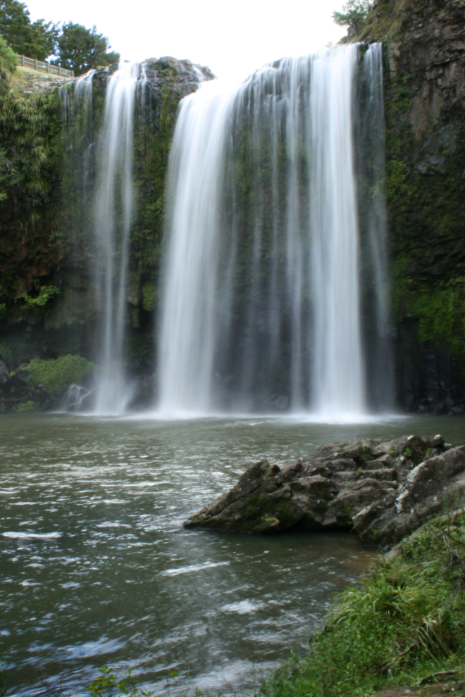 Whangerei Falls, New Zealand