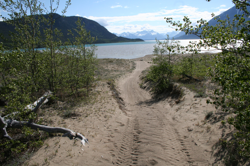 ATV trail in the Carcross dunes
