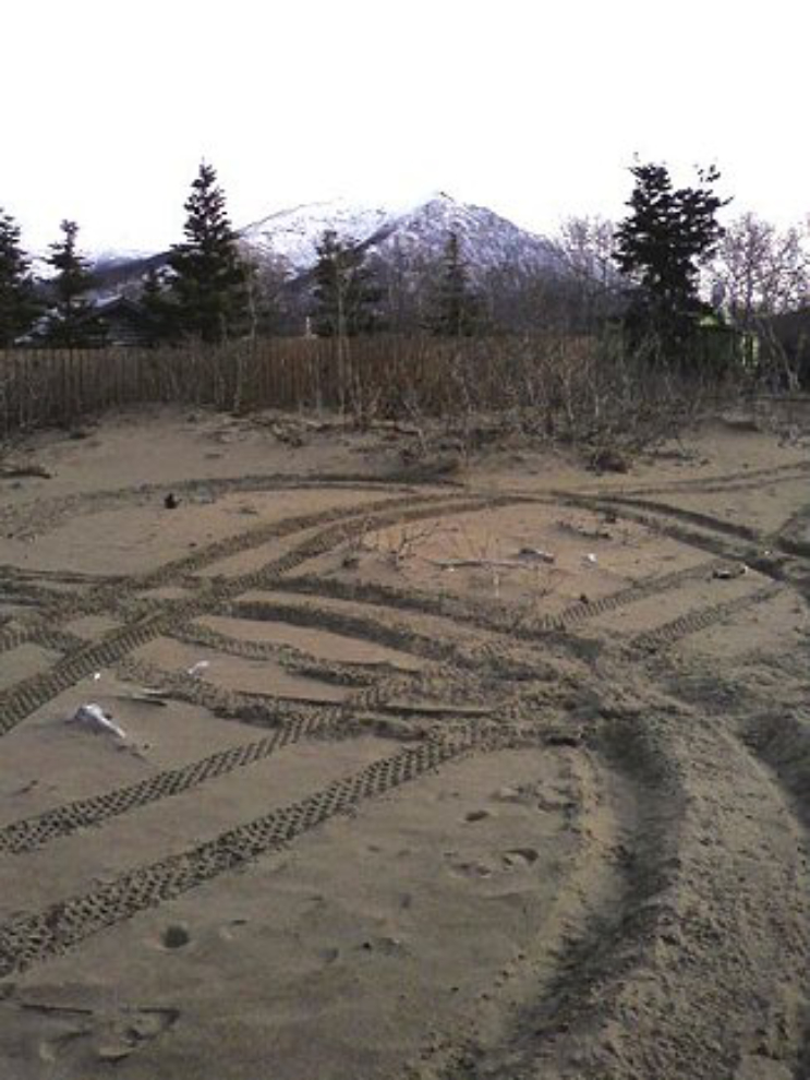 Morons on ATVs in Carcross