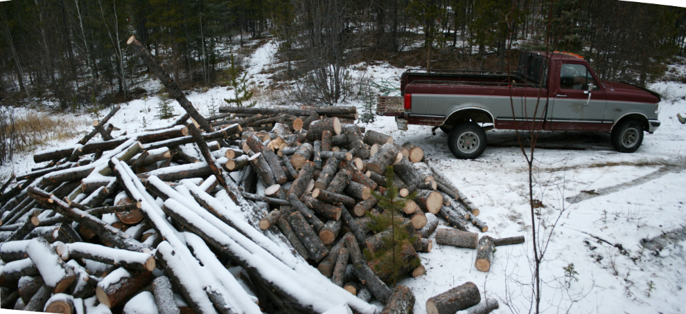 Well stocked with firewood for a Yukon winter