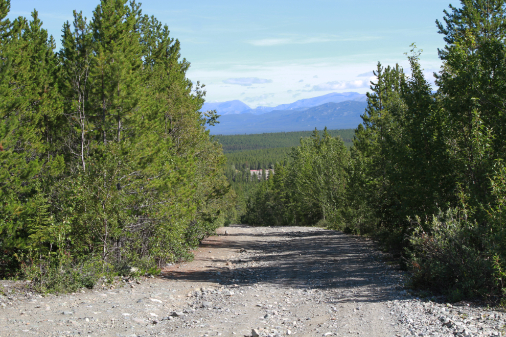 The view down the 4x4 road up Mt. McIntyre at Whitehorse.