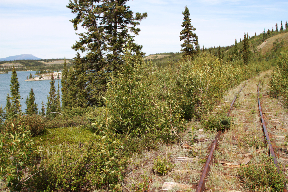 The long-abandoned WP&YR rail line along Lewis Lake (usually called Lewes Lake), Yukon.