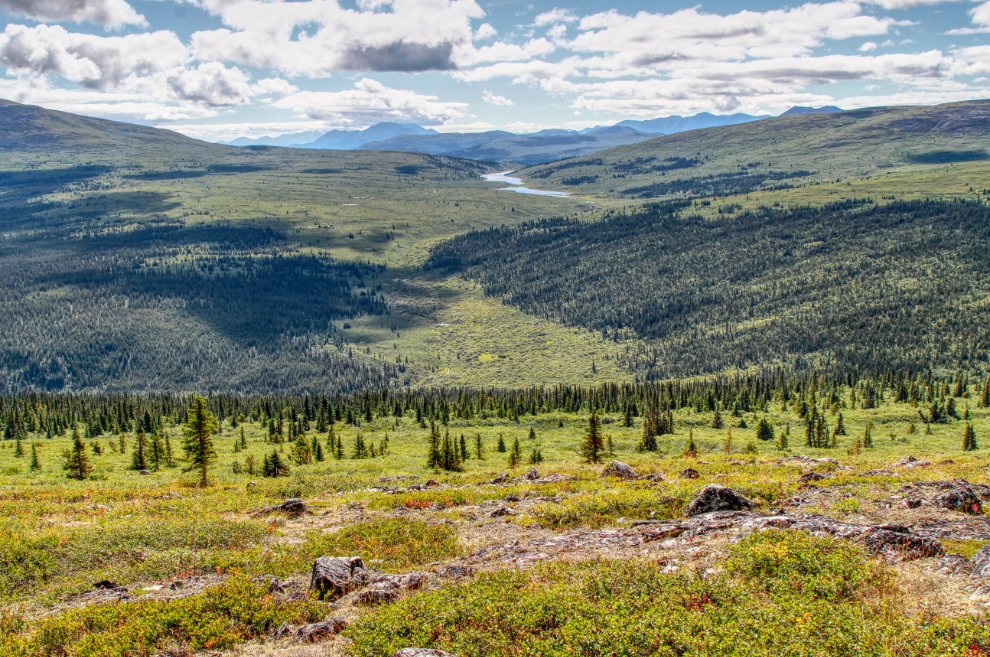 One of the spectacular views from Mt. McIntyre at Whitehorse, Yukon