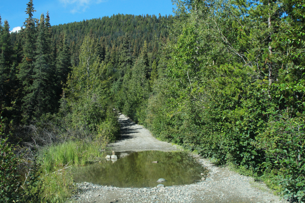 The 4x4 road up Mt. McIntyre at Whitehorse, Yukon