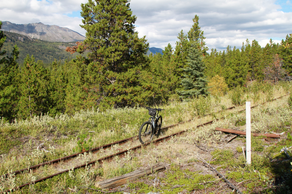 Mile 73 on the long-abandoned WP&YR railway line between Spirit Lake and Carcross, Yukon