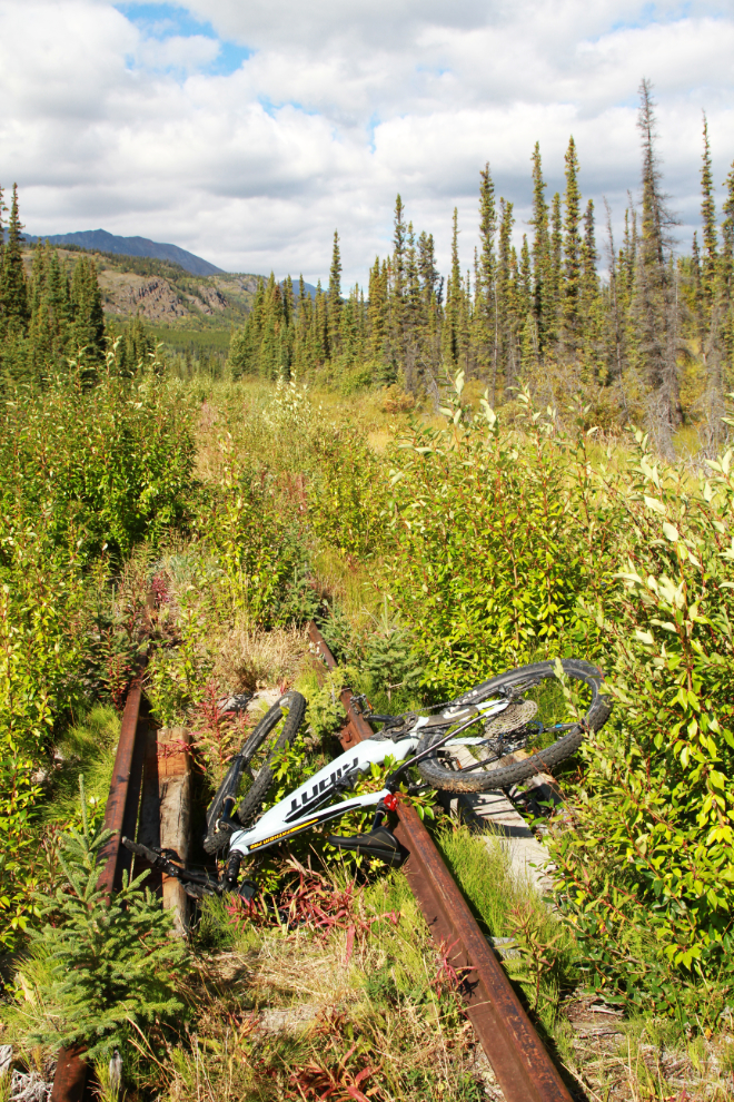Crashed e-bike on the overgrown WP&YR railway line between Spirit Lake and Carcross, Yukon
