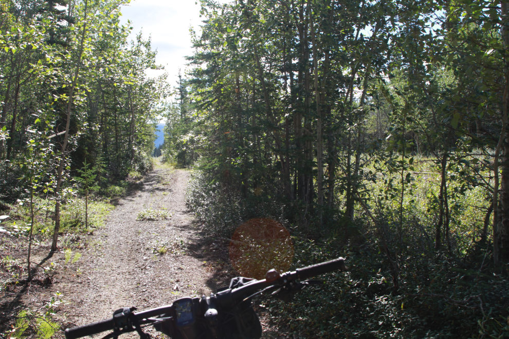 A dirt road running alongside the WP&YR railway line between Spirit Lake and Carcross, Yukon