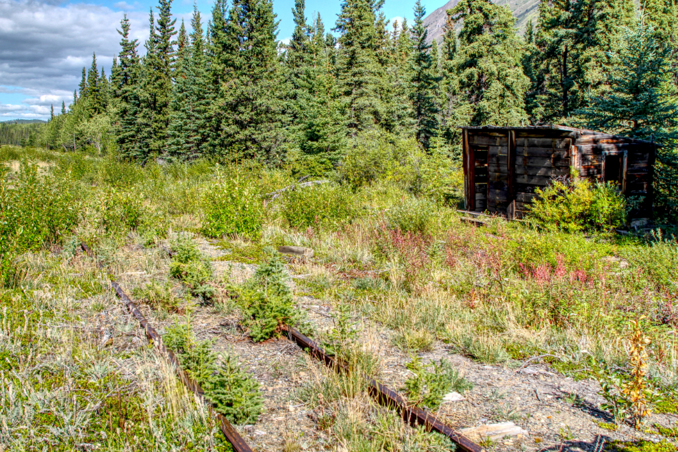 An old track crew shelter beside the WP&YR railway line between Spirit Lake and Carcross, Yukon