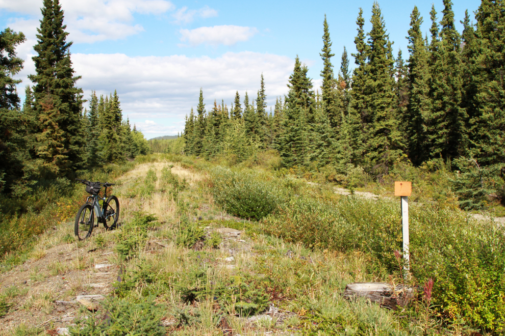 Mile 71 on the overgrown White Pass & Yukon Route railway line between Spirit Lake and Carcross, Yukon