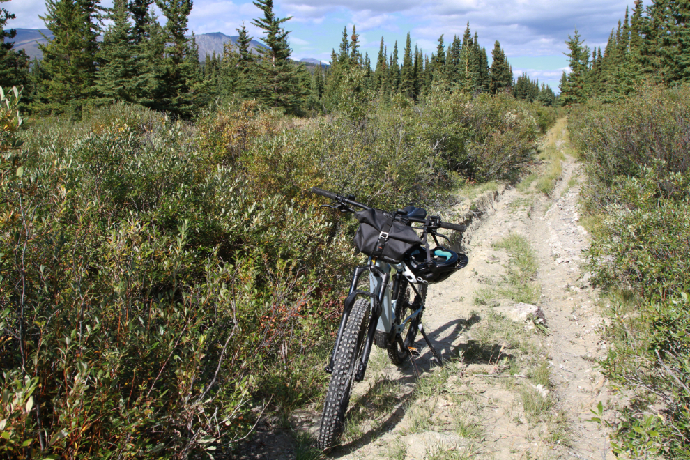 E-bike beside the overgrown White Pass & Yukon Route railway line between Spirit Lake and Carcross, Yukon