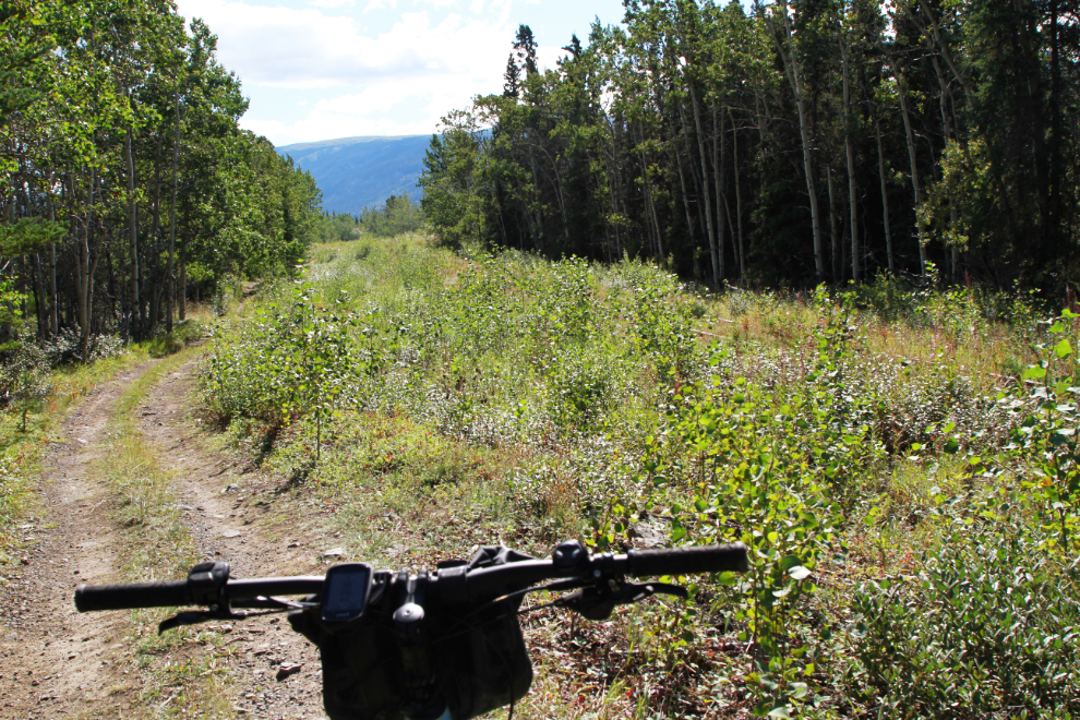 E-bike on the overgrown White Pass & Yukon Route railway line just north of Carcross, Yukon