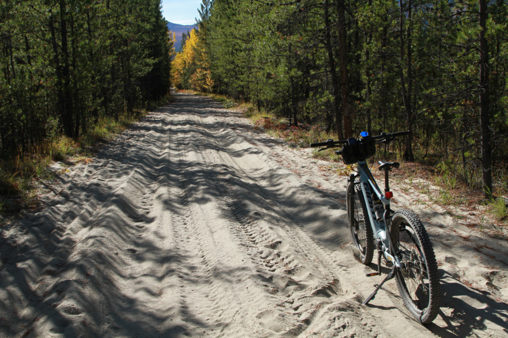 A sandy section of the Ibex Valley Trail, Yukon, by e-bike