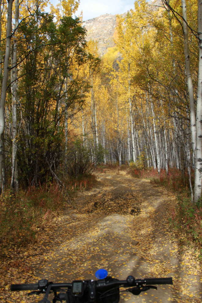 The Ibex Valley Trail, Yukon, by e-bike