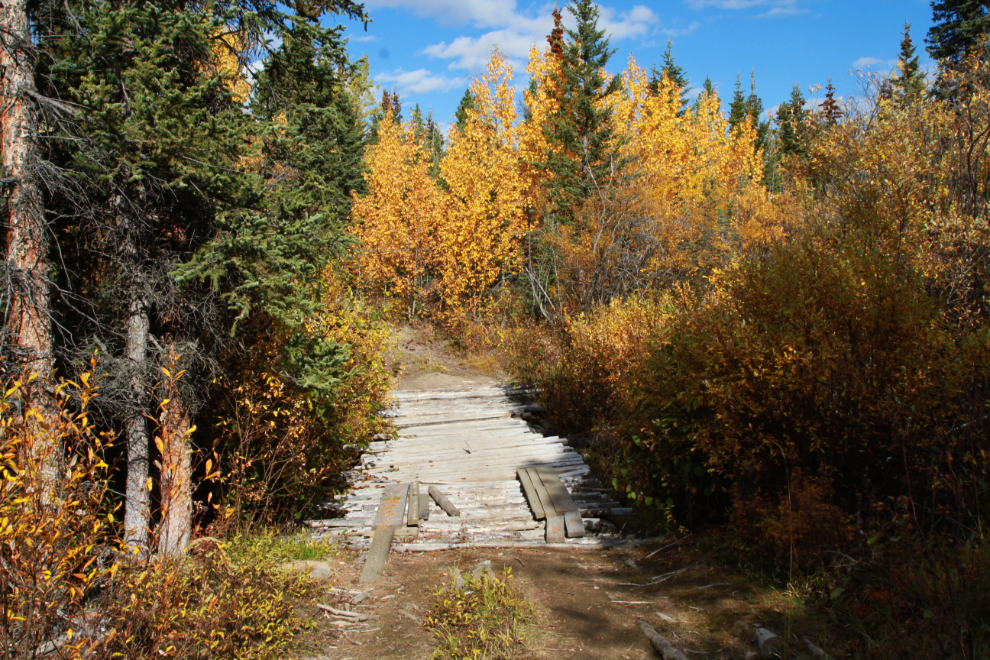 An old wooden bridge on the Ibex Valley Trail, Yukon