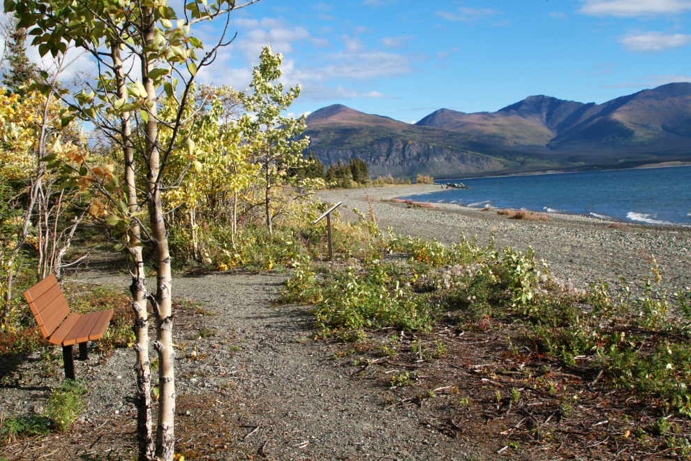 Walking trail at Congdon Creek Campground, Kluane Lake, Yukon