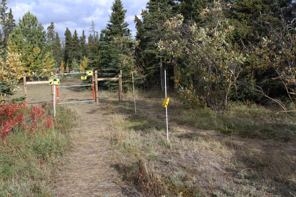 Bear-resistant tenting area at Congdon Creek Campground, Kluane Lake, Yukon