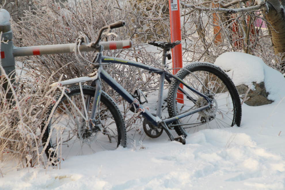 An abandoned bicycle in Whitehorse at -38C