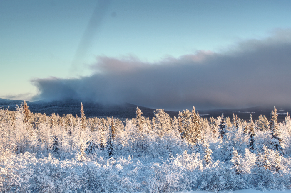 Hoar frost and fog on the Fish Lake Road, Whitehorse, Yukon
