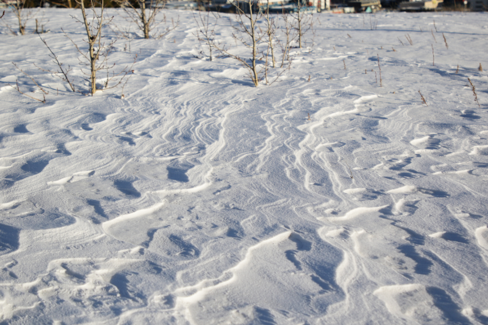 Snow and wind patterns along the Whitehorse airport trails