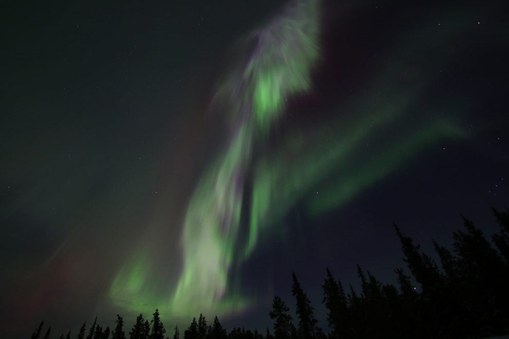 Aurora borealis just east of Whitehorse, Yukon