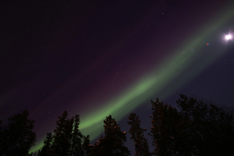 Aurora borealis in my back yard at Whitehorse, Yukon