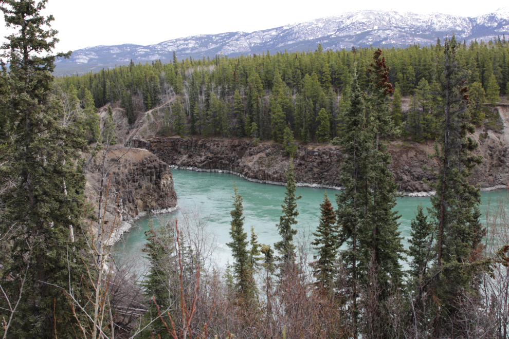 Spring at Miles Canyon on the Yukon River