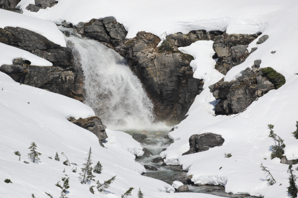 International Falls in the White Pass, in mid May