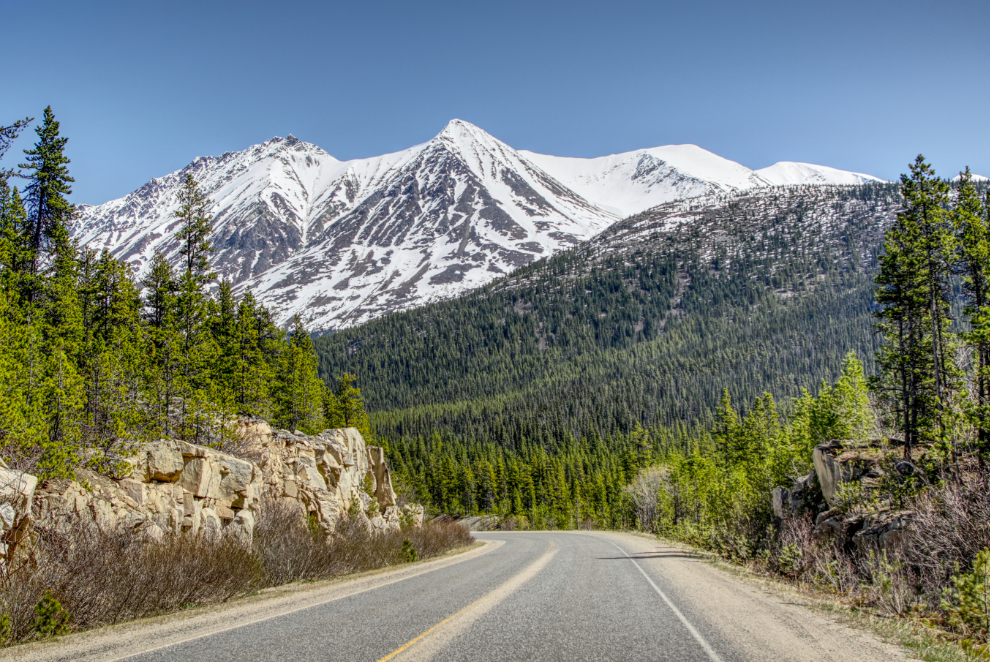 Late May on the South Klondike Highway