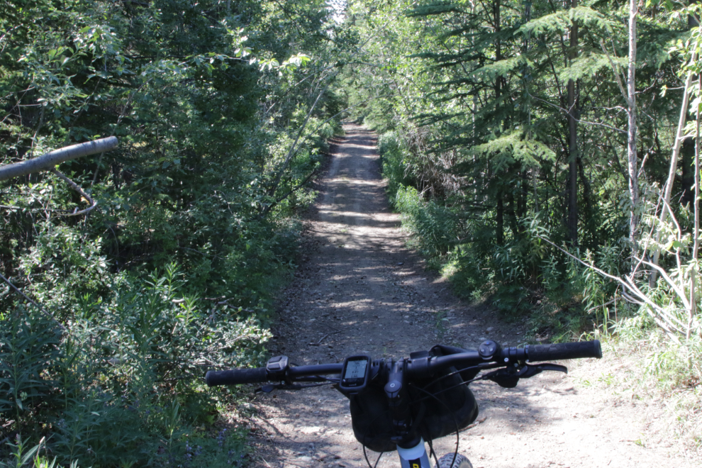 E-biking on a quiet trail in the Whitehorse Copper Belt, Yukon