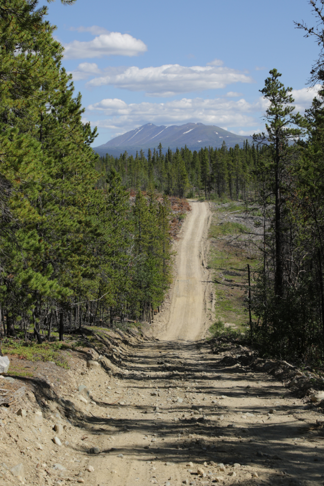 The Trans Canada Trail in the Mary Lake part of the Whitehorse Copper Belt, Yukon