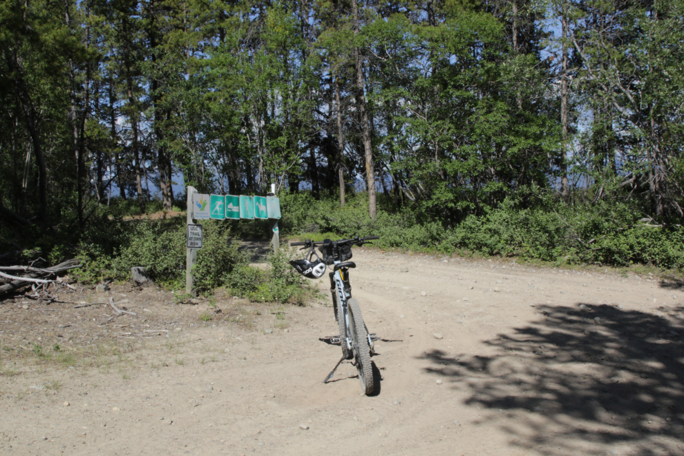 The Trans Canada Trail near Mary Lake, Yukon