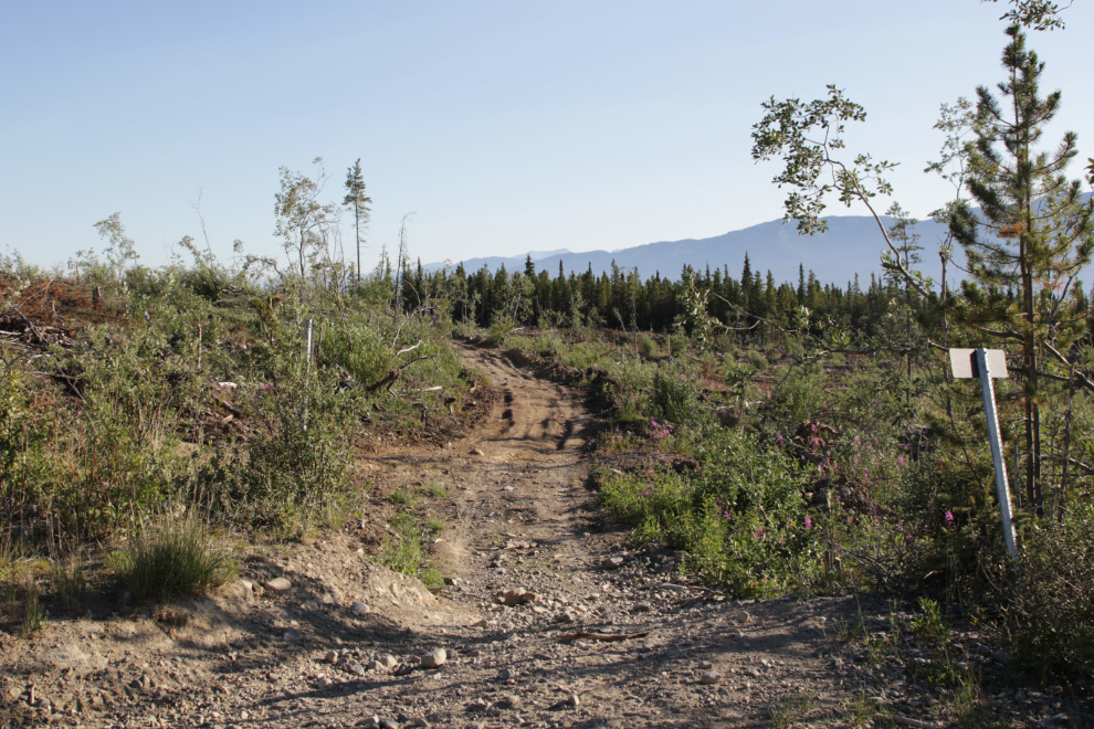 The Wolf Creek ATV trail near Whitehorse, Yukon