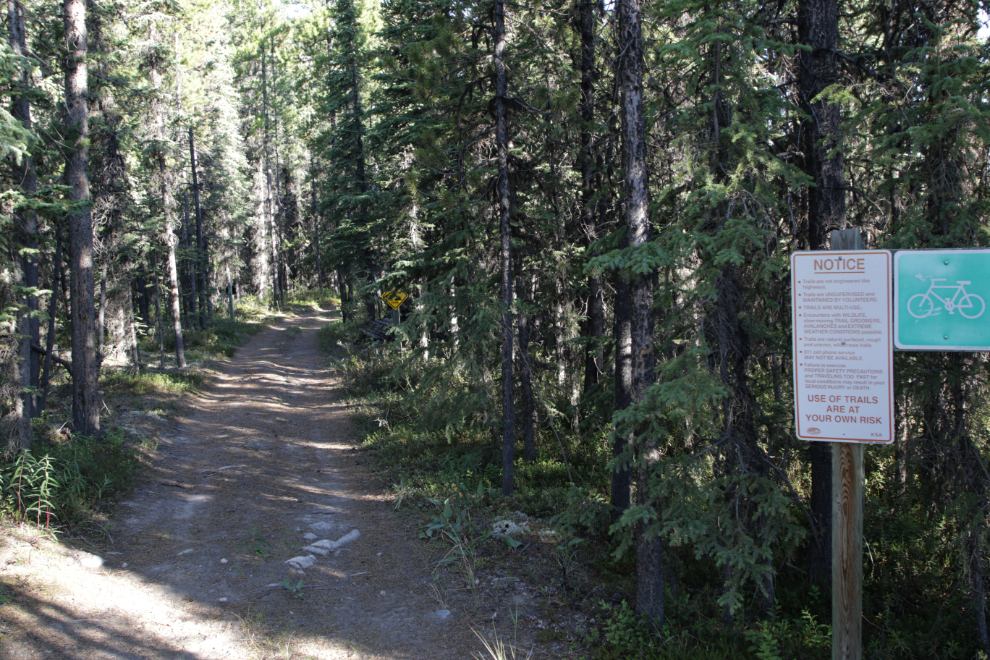The Trans Canada Trail near Mount Sima, Yukon