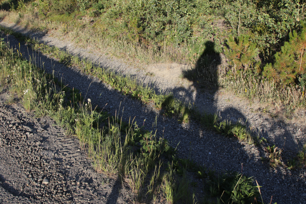 Morning bike shadow