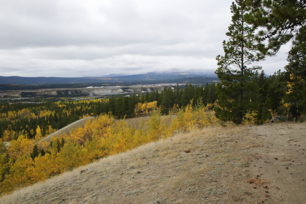 Hiking one of the lower trails on Grey Mountain at Whitehorse, Yukon