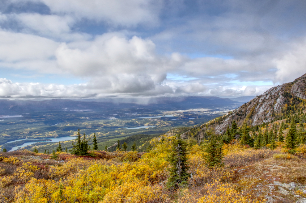 The view from Grey Mountain at Whitehorse, Yukon